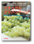 book4