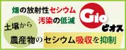 セシウム吸収を抑制